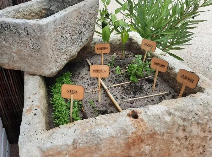 Do Rosal Villa Boa Vista de Cima